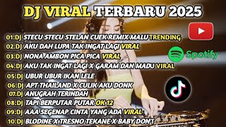 DJ TIKTOK TERBARU 2025-🎵 DJ STECU STECU STELAN CUEK REMIX 🎵 DJ NONA AMBON PICA PICA VIRAL FULL ALBUM