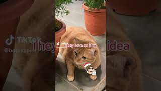 Let them laugh at you, they have no idea, what’s coming