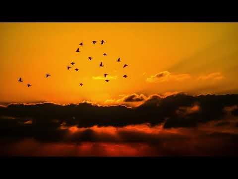 Sacral Chakra | Chakra Meditation Music - Remove Negative Energy | Healing Music, Relaxing Music