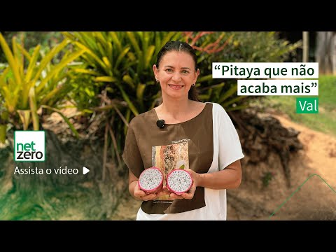 Pitaya que não acaba mais!