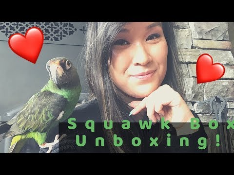 BEST PARROT TOYS // SQUAWK BOX UNBOXING // MAY 2019