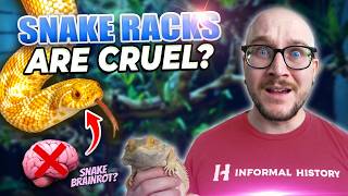 New Study Proves Snake Racks are ROTTING Your Snake's Brain!