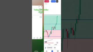 forex trading 240 usd Profit  #eurusd #livetradingforex #forex