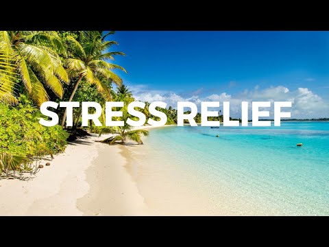 Relaxing Deep Sleep Calming, Meditation Sleep Music, Study Music, Relaxation Music, Stress Relief