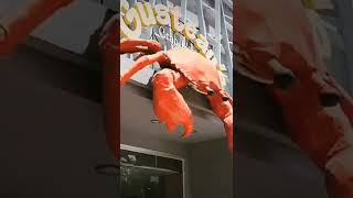 Seafood heaven in General Santos City @GusteausOfficial