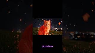 Periodic Power Cats #cats #powercats #supercat #superpowers #catsoftiktok #cat #periodictable