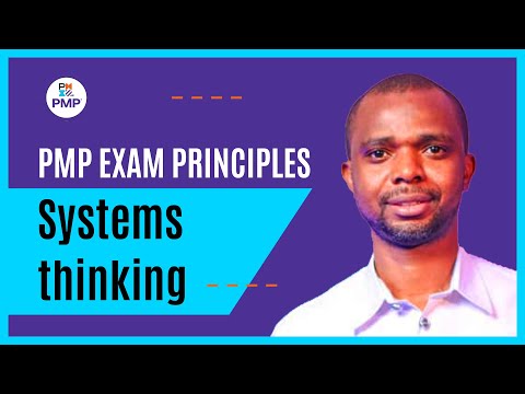 PMP Principle 5: Systems Thinking Explained | How PMI Tests Systems Thinking in the PMP Exam