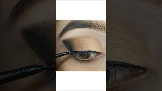 liquid eyeliner tutorial for beginners 🔥 #makeup #youtubeshorts #trending #shorts #viralvideo #new