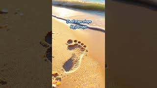 Motivation to Keep Going – Tiny Steps, Big Impact | RestInSounds
