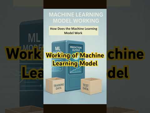 How Does the Machine Learning Model Work #machinelearning #pythonprogramming