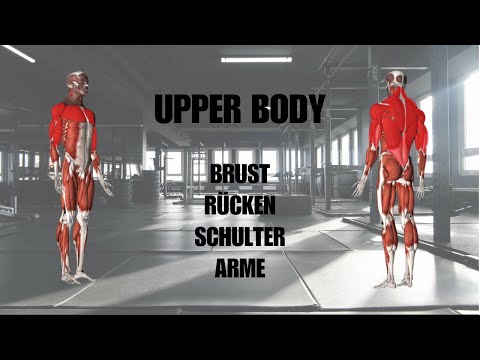 Mein aktuelles Oberkörper-Training 🦍