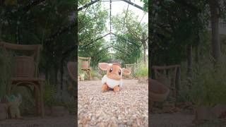 How Should I Evolve My Eevee?