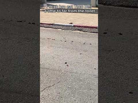 Average Taco Bell experience🗿💀💩