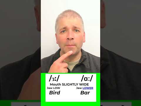 Similar Sounds in English: BIRD or BAR? (Part 8 of 35)