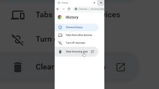How to Delete Google Chrome History In PC or Laptop - 2025