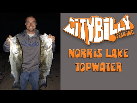 Topwater Bank Fishing for Norris Lake (TN) Stripers