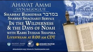 Worldwide Shacharit and Torah service for Parashat Bamidbar