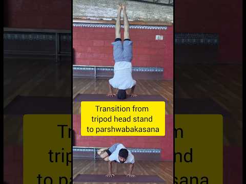 From balance to strength: Mastering the transition from Tripod Headstand to Parsva Bakasana. #yoga