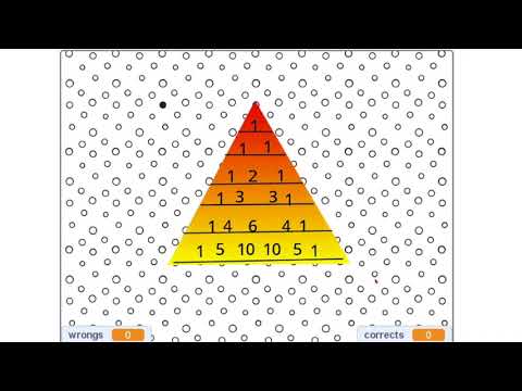 Pradyun Capstone Video