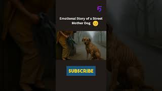 #cgi #emotional #film #computeranimation #doglove #kindness #empathy #film #animallove #sad