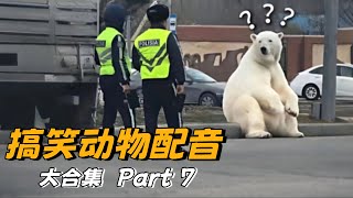 【搞笑动物配音】专治不开心！一次看过瘾220超长大合集篇