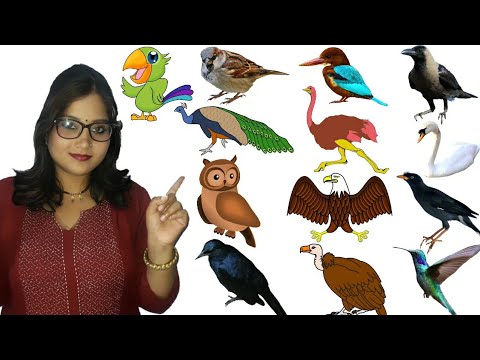 Birds Name For Kids In Hindi And English | पक्षियों के नाम | #birdsname