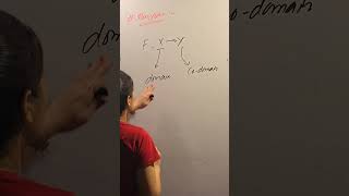 What is Function in Maths | Concept of Function | Class 11 and Class 12 Maths |