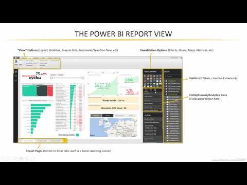 2  The Report View