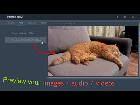 CatMedia demo