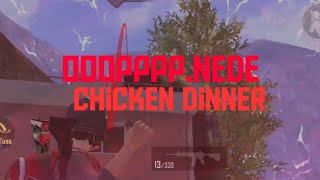 winner winner chicken dinner. lite.