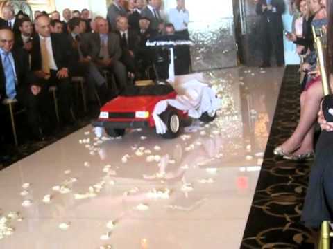Robot Ring-Bearer at Wedding