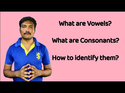 Lesson 2: What are Vowels and Consonants? | Easy English Lesson for Beginners @the_english_cookie 