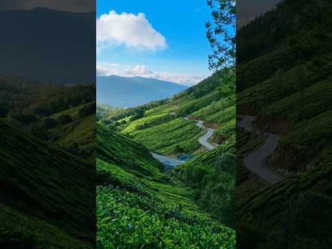 Top 10 Tourist Destinations in India for Foreign Travelers #TOURISM #india