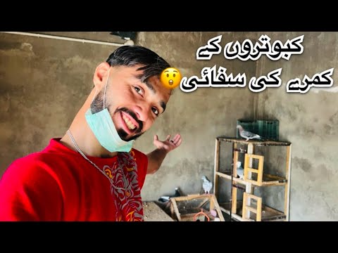 After A long timeکبوتروں کے کمرے کی سفائی کر دی🥵😂