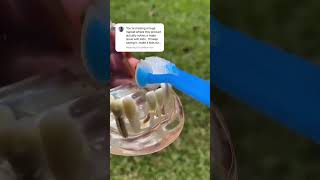 Three-Sided Toothbrush