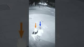 Anna Jedrkowiak stalked by ex moments before the attack  #crimedocumentaries #truecrimedocumentaries
