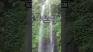 Discover Eco Adventures: Uniting for Conservation with Lampa-Lampa Spirit 🌿🦋