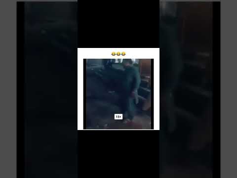 Funny dog video #shorts #ytshorts #freefire