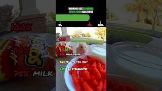 Ranking Best Animals Spicy Food Reactions🤣