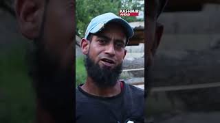 Kashmir Willow: The Affordable Star of Cricket! #CricketInnovation