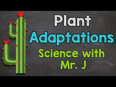 Plant Adaptations | Examples of Plant Adaptations | Ecosystems