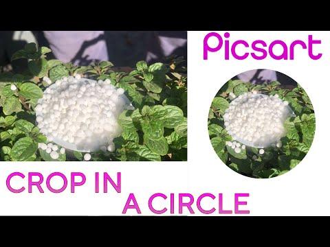 How to Crop in Circle Shape in Picsart | Crop in Circle Picsart