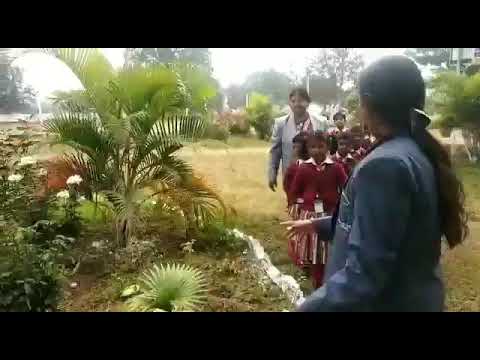 School garden
