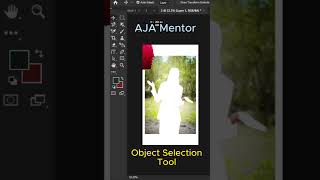 How to Use the Object Selection Tool in Photoshop | Adobe Photoshop | #adobe #tools #adobephotoshop