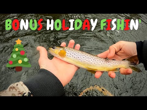 Tulpehocken Creek Bonus Holiday Footage
