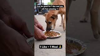 A helping paw always makes a difference #help2happy #helpvideo