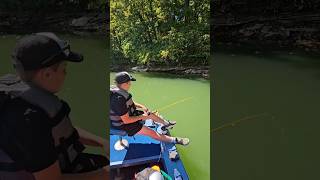 Great way to spend a morning! #shorts #fishing #fishingfun #bluegillfishing