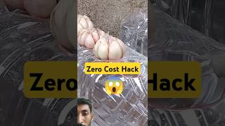 Grow Garlic at Home in Plastic Bottles | Zero Cost Hack! #Shorts#plants #satifying#viralshort