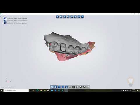 IDS Software - Managing Cases