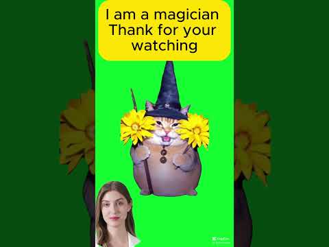 Meet the Magic Cat: The Adorable, Optimistic Feline! #CuteCat #OptimisticKitty #HappyCat #CatLover